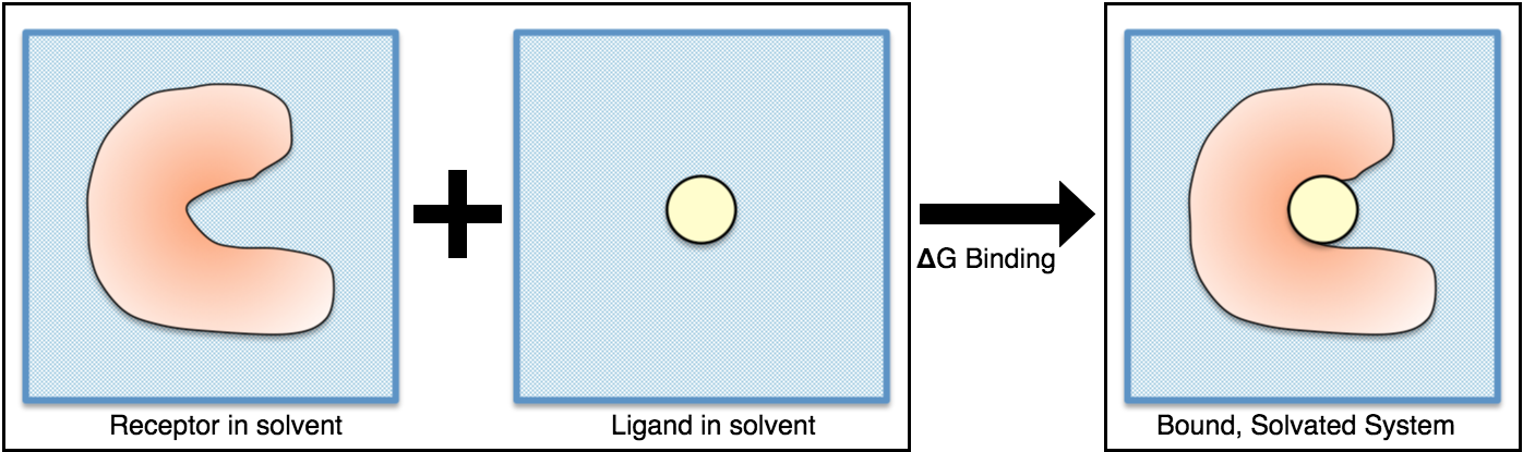 _images/YANKTC-Stage1.png